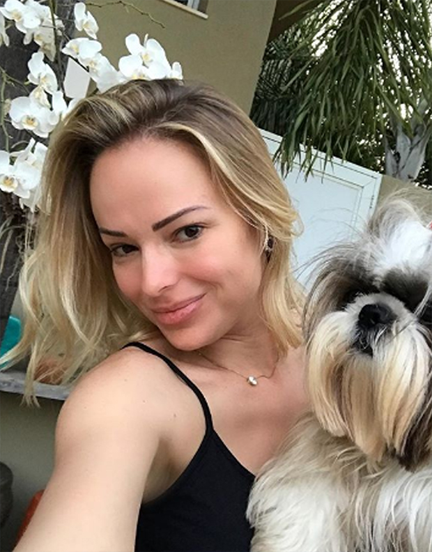 Pets urbanos: 10 mitos e verdades sobre pulgas e carrapatos!