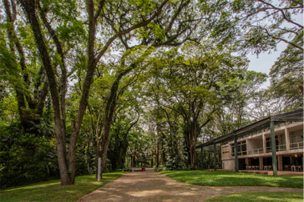Museus nas férias!